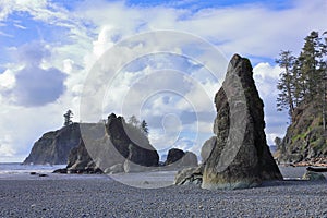 Olympic National Park, Seastacks on Pacific Coast at Ruby Beach, Washington State, USA