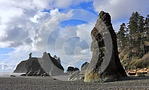 Olympic National Park with Seastacks at Ruby Beach, Pacific Northwest, Washington State