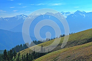 Olympic National Park UNESCO World Heritage Site with Mount Olympus from Hurricane Ridge, Pacific Northwest, Washington