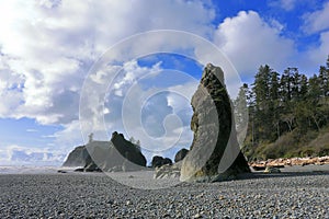 Olympic National Park, Washington State, Seastacks at Ruby Beach on the West Coast, Pacific Northwest, USA