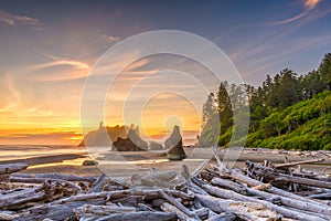 Olympic National Park, Washington, USA