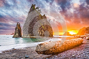 Olympic National Park, Washington, USA Beach photo