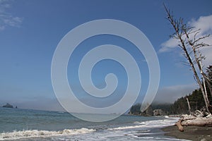 Olympic Peninsula Beaches Washington