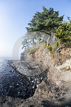 Olympic Peninsula Coast 2