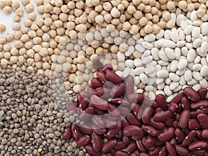 A handful of vegetables seen from the top and composed of chickpeas photo