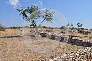 Olynthus ruins in Chalkidiki