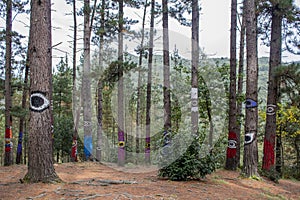 Oma forest, Urdaibai Biosphere Reserve