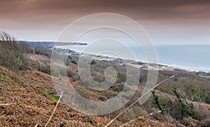 Omaha Beach landscape