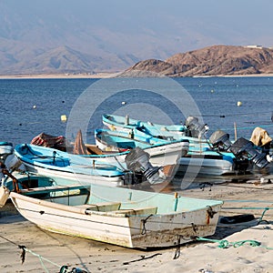 in oman boat in the coastline and seagull near ocean