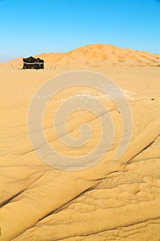 in oman desert tent of berber people