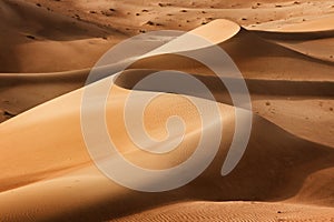 Oman: Empty quarter