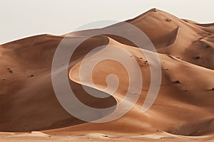 Oman: Empty quarter