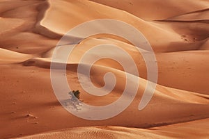 Oman: Empty quarter