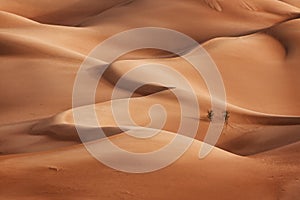 Oman: Empty quarter