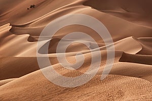 Oman: Empty quarter