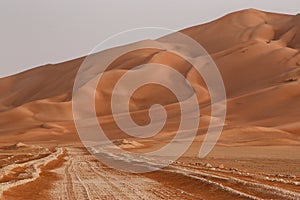 Oman: Empty quarter