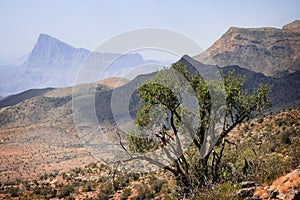 Oman: Jabal Shams Plateau photo