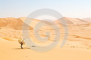 in oman old desert rub al khali the empty quarter and outdoor photo