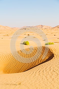 in oman old desert rub al khali the photo