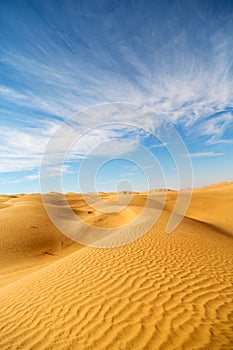 in oman old desert rub al khali sand dune photo