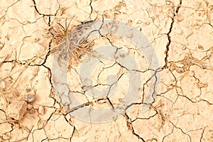 in oman rub al khali old desert and the abstract cracked san