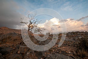 Oman`s mountains