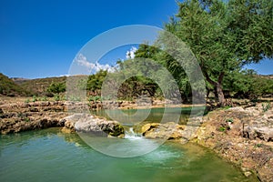 Oman and Wadi Darbat photo