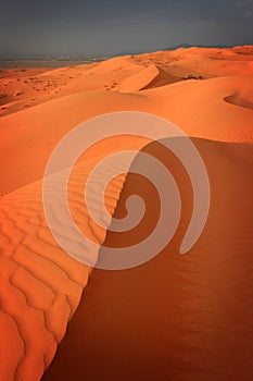 Oman: Wahiba Sands photo