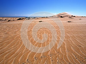 Omani desert