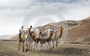 Omani men riding camels in a landscape of rural Oman