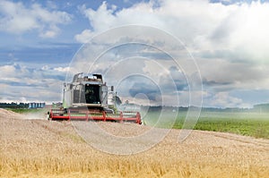 Ombine harvester in red details is working during harvest time in the farmerâ€™s field