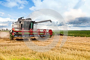 Ombine harvester in red details is working during harvest time in the farmerâ€™s field