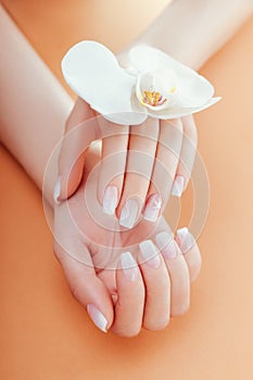 Ombre french manicure with orchid on orange background. Woman with white ombre french manicure holds orchid flower