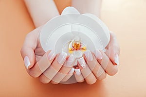 Ombre french manicure with orchid on orange background. Woman with white ombre french manicure holds orchid flower