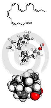 Omega-3 fatty acid docosahexaenoic acid molecule