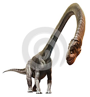 Omeisaurus