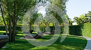 ÃÂ¡omfortable loungers for rest in shade of deciduous trees. Public landscape city park Krasnodar or `Galitsky park` for relaxation