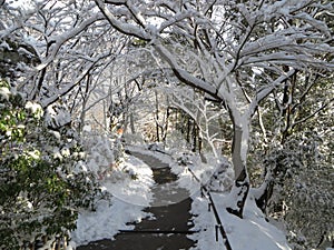 Omihachiman Mountain In Snow, Shiga, Japan