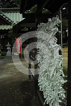 Omikuji