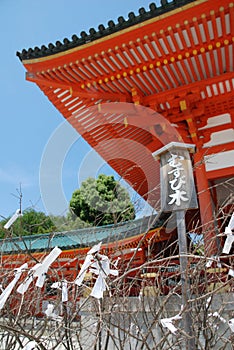 Omikuji Charms on Tree at Heian-Jingu