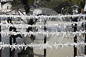 Omikuji at a japanese Shrine