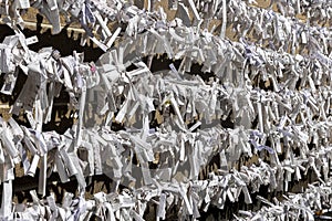 omikuji knotted on a rope