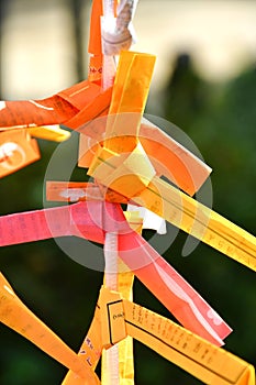 Omikuji Paper Strips at Dazaifu Tenmangu Shrine, Fukuoka