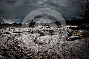 Ominous Lava Field