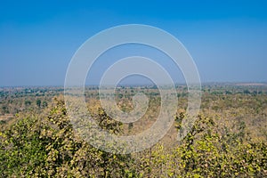 Omkareshwar National Park Forest Madhya Pradesh