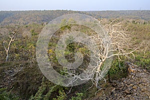 Omkareshwar sacred island