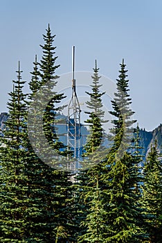 Omni communications antenna on a small tower camouflaged in evergreen trees, mountain ridge and sky in background