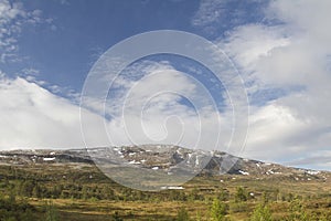 Omnsfjellet bog in Langlidalen