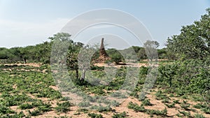 Huge termite mound in Africa, South Ethiopia, Omo valley