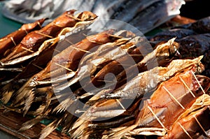 Omul fish at the Listvyanka market